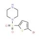 1-[(5-Bromothien-2-yl)sulfonyl]piperazine (CAS 725688-07-3) - chemical structure image