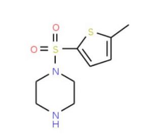 1-[(5-methylthien-2-yl)sulfonyl]piperazine - chemical structure image