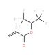1,1,1,3,3,3-Hexafluoroisopropyl methacrylate (CAS 3063-94-3) - chemical structure image