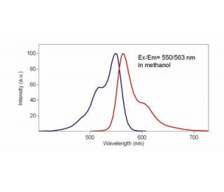 1,1-Dioctadecyl-3,3,3,3- tetramethylindocarbocyanine iodide: sc-391087 