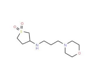 (1,1-Dioxo-tetrahydro-1lambda*6*-thiophen-3-yl)-(3-morpholin-4-yl-propyl)-amine - chemical structure image