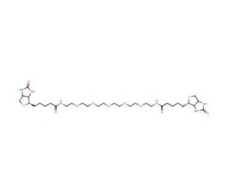 1,17-Bisbiotinylamino-3,6,9,12,15-pentaoxaheptadecane (CAS 440680-87-5) - chemical structure image