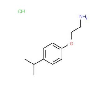 1-(2-aminoethoxy)-4-(propan-2-yl)benzene hydrochloride - chemical structure image