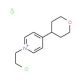 1-(2-Chloro-ethyl)-4-(tetrahydro-pyran-4-yl)-pyridinium chloride - chemical structure image