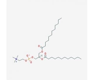1,2-Didodecanoyl-rac-glycero-3-phosphocholine (CAS 18656-40-1) - chemical structure image