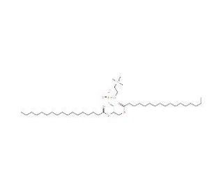 1,2-Diheptadecanoyl-sn-glycero-3-phosphorylcholine (CAS 70897-27-7) - chemical structure image