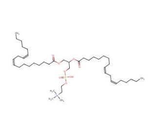 1,2-Dilinoleoyl-sn-glycero-3-phosphocholine (CAS 998-06-1) - chemical structure image