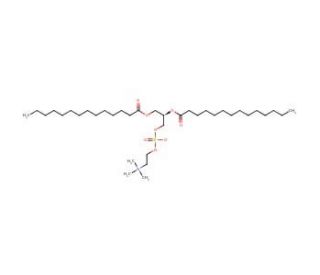 1,2-Dimyristoyl-sn-glycero-3-phosphocholine (CAS 18194-24-6) - chemical structure image