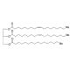 1,2-Dioleoyl-3-palmitoyl-rac-glycerol (CAS 65390-75-2) - chemical structure image