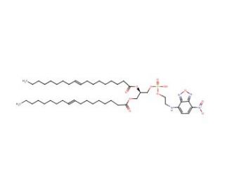1,2-Dioleoyl-sn-glycero-3-phosphoethanolamine, 7-nitrobenzofurazan-labeled (CAS 137819-86-4) - chemical structure image
