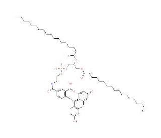 1,2-Dioleoyl-sn-glycero-3-phosphoethanolamine-N-(carboxyfluorescein) Ammonium Salt (CAS 799268-49-8) - chemical structure ima