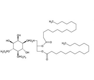 1,2-Dipalmitoyl-L-alpha-phosphatidyl-D-myo-inositol 4,5-bisphosphate (CAS 120595-88-2) - chemical structure image