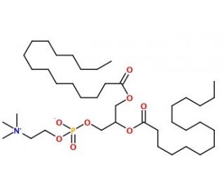 1,2-Dipalmitoyl-rac-glycero-3-phosphocholine (CAS 2644-64-6) - chemical structure image