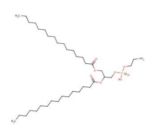 1,2-Dipalmitoyl-rac-glycero-3-phosphoethanolamine (CAS 5681-36-7) - chemical structure image