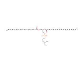 1,2-Dipalmitoyl-sn-glycero-3-phospho-N,N-dimethylethanolamine (CAS 3922-61-0) - chemical structure image