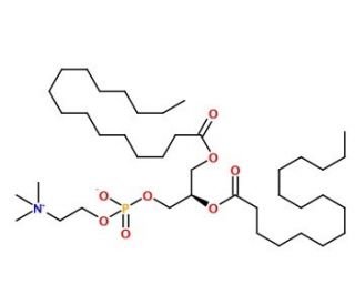 1,2-Dipalmitoyl-sn-glycero-3-phosphocholine (CAS 63-89-8) - chemical structure image