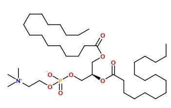 1,2-Dipalmitoyl-sn-glycero-3-phosphocholine | CAS 63-89-8