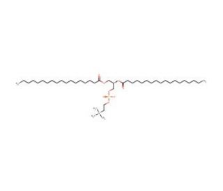 1,2-Distearoyl-sn-glycero-3-phosphocholine (CAS 816-94-4) - chemical structure image