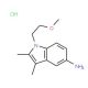 1-(2-Methoxy-ethyl)-2,3-dimethyl-1H-indol-5-ylamine hydrochloride - chemical structure image