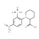 1-[2-(Methylsulfonyl)-4-nitrophenyl]piperidine-2-carboxylic acid - chemical structure image