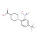 1-[2-Nitro-4-(trifluoromethyl)phenyl]piperidine-4-carboxylic acid - chemical structure image