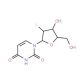 Structure moléculaire de 1-(2'-Deoxy-2'-fluoro-b-D-arabinofuranosyl)uracil, Numéro CAS: 69123-94-0 1-(2′-Deoxy-2′-fluoro-b-D-arabinofuranosyl)uracil (CAS 69123-94-0) - chemical structure image