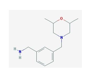 1-{3-[(2,6-dimethylmorpholin-4-yl)methyl]phenyl}methanamine - chemical structure image
