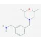 1-{3-[(2,6-dimethylmorpholin-4-yl)methyl]phenyl}methanamine - chemical structure image