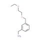 1-{3-[(2-ethoxyethoxy)methyl]phenyl}methanamine - chemical structure image