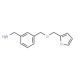 1-{3-[(2-furylmethoxy)methyl]phenyl}methanamine (CAS 953883-20-0) - chemical structure image