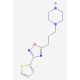 1-[3-(3-thien-2-yl-1,2,4-oxadiazol-5-yl)propyl]piperazine - chemical structure image