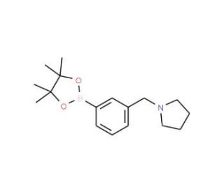 1-[3-(4,4,5,5-Tetramethyl-1,3,2-dioxaborolan-2-yl)benzyl]pyrrolidine (CAS 884507-45-3) - chemical structure image