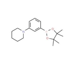 1-[3-(4,4,5,5-Tetramethyl-1,3,2-dioxaborolan-2-yl)phenyl]piperidine (CAS 852227-97-5) - chemical structure image