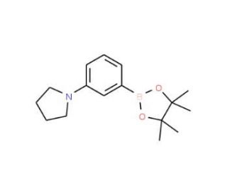 1-[3-(4,4,5,5-Tetramethyl-1,3,2-dioxaborolan-2-yl)phenyl]pyrrolidine (CAS 857283-63-7) - chemical structure image