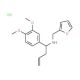 [1-(3,4-Dimethoxy-phenyl)-but-3-enyl]-furan-2-ylmethyl-amine hydrochloride - chemical structure image