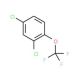 1,3-Dichloro-4-(trifluoromethoxy)benzene (CAS 451-85-4) - chemical structure image