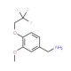 1-[3-methoxy-4-(2,2,2-trifluoroethoxy)phenyl]methanamine - chemical structure image