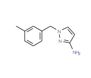 1-(3-Methylbenzyl)-1H-pyrazol-3-amine (CAS 955962-44-4) - chemical structure image