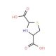 1,3-Thiazolane-2,4-dicarboxylic acid (CAS 30097-06-4) - chemical structure image