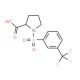 1-{[3-(Trifluoromethyl)phenyl]sulfonyl}-2-pyrrolidinecarboxylic acid (CAS 251096-97-6) - chemical structure image