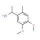 1-(4,5-dimethoxy-2-methylphenyl)ethanamine - chemical structure image