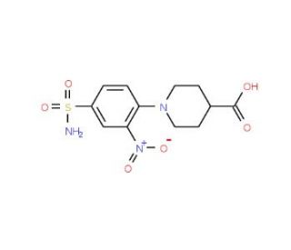1-[4-(aminosulfonyl)-2-nitrophenyl]piperidine-4-carboxylic acid - chemical structure image