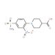 1-[4-(aminosulfonyl)-2-nitrophenyl]piperidine-4-carboxylic acid - chemical structure image