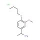 1-(4-butoxy-3-methoxyphenyl)ethan-1-amine hydrochloride - chemical structure image