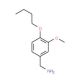 1-(4-butoxy-3-methoxyphenyl)methanamine - chemical structure image