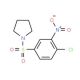1-(4-Chloro-3-nitro-benzenesulfonyl)-pyrrolidine - chemical structure image