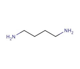 1,4-Diaminobutane (CAS 110-60-1) - chemical structure image