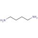 1,4-Diaminobutane (CAS 110-60-1) - chemical structure image