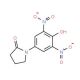 1-(4-hydroxy-3,5-dinitrophenyl)pyrrolidin-2-one - chemical structure image