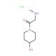 1-(4-hydroxypiperidin-1-yl)-2-(methylamino)ethan-1-one hydrochloride - chemical structure image